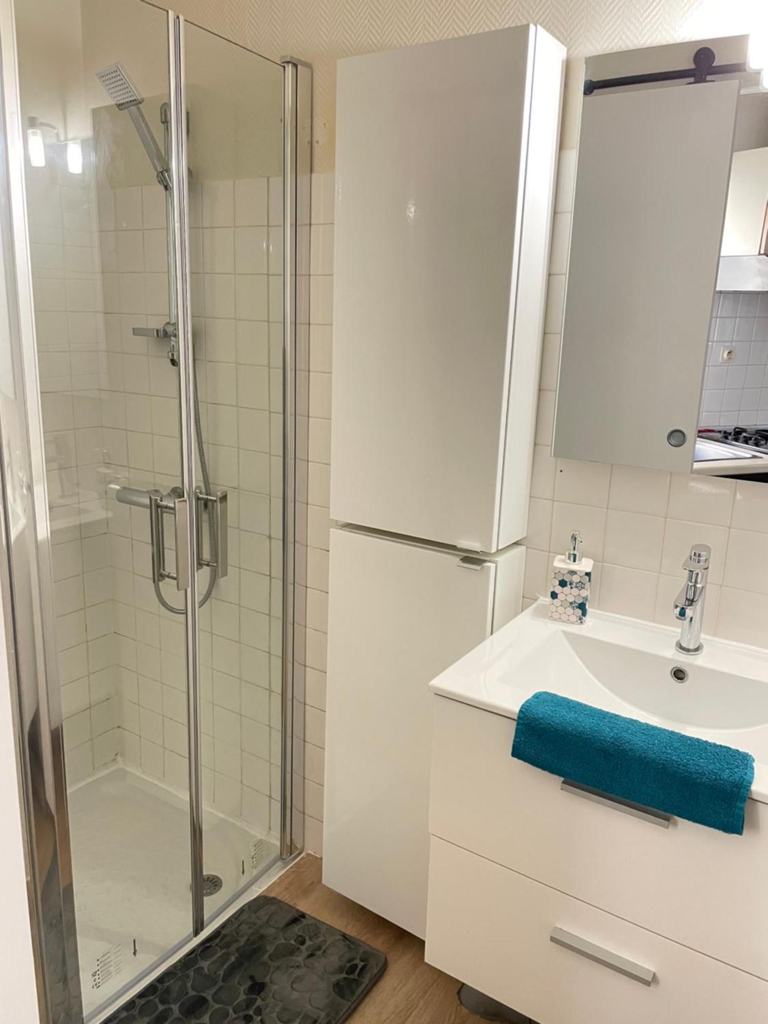 Appartement Alembert - En Plein Centre *
